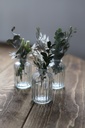 Vase Transparent